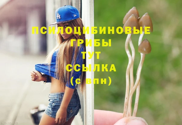 PSILOCYBIN Бородино