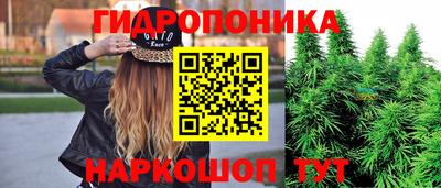метадон Гусев