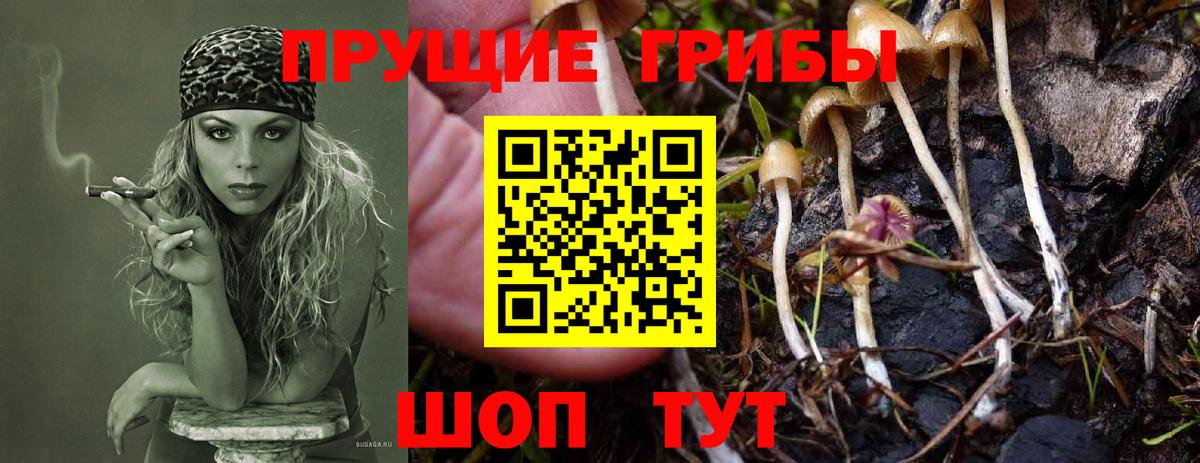 Ялуторовск  Псилоцибиновые грибы мухоморы  хочу наркоту  Вход с VPN 